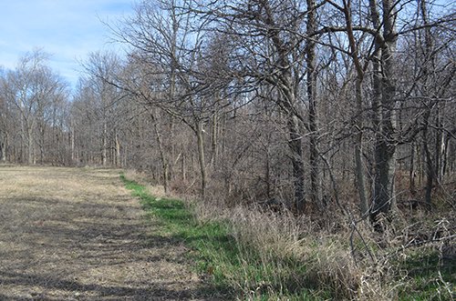 Property photo 128 - REAL ESTATE & PERSONAL PROPERTY AUCTION, 140 Acres offered in 8 Tracts or Combinations in Steuben County